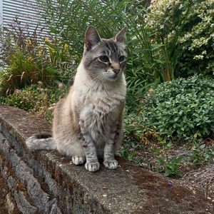 BATHINGSUIT FOR LIBBY * DO NOT PURCHASE*